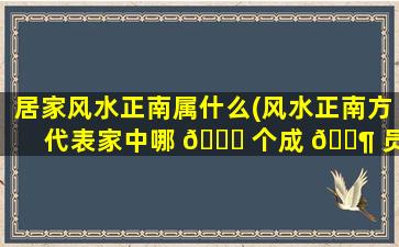 居家风水正南属什么(风水正南方代表家中哪 🐅 个成 🐶 员)
